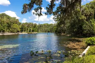 5860 SE 183rd Terrace, Ocklawaha, FL 32179 - Photo 46