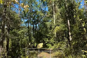 Lot 46 SW Kentucky St, Fort White, FL 32038 - Photo 1