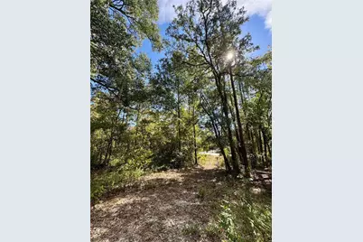 Lot 46 SW Kentucky Street, Fort White, FL 32038 - Photo 8