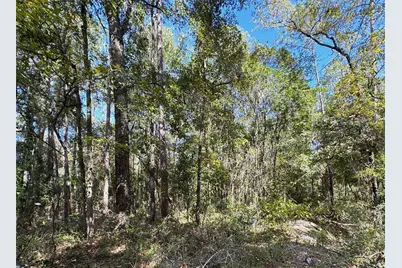 Lot 45 SW Kentucky Street, Fort White, FL 32038 - Photo 6