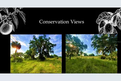 5486 SW 125th Circle, Archer, FL 32618 - Photo 4