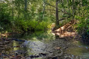 3619 NW 38th St, Gainesville, FL 32606 - Photo 32