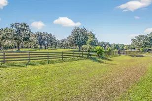 12903 NW 112th Ave, Alachua, FL 32615 - Photo 74