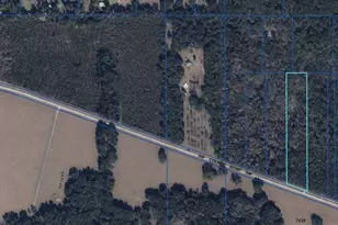 7922 SW County Rd 346, Archer, FL 32618 - Photo 2