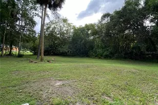 253 NW 3rd Ave, Micanopy, FL 32667 - Photo 20