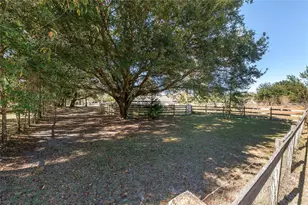 9128 NW 238 St, Alachua, FL 32615 - Photo 28