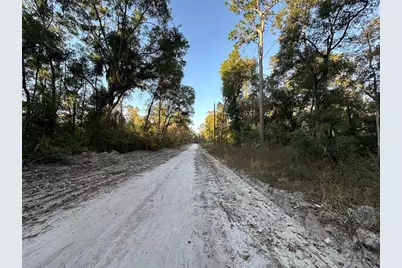 150 SE 926th Street, Old Town, FL 32680 - Photo 2