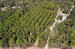 11440 SW Archer Rd, Gainesville, FL 32608 - Photo 6