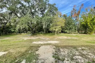10620 SW 10th Terrace, Micanopy, FL 32667 - Photo 52