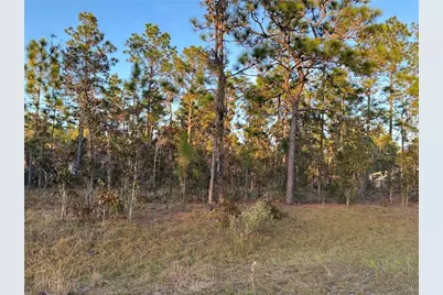 00 NE 9th Street, Williston, FL 32696 - Photo 6