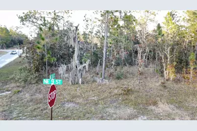 00 NE 9th Street, Williston, FL 32696 - Photo 4