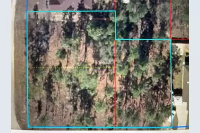 00 NE 9th Street, Williston, FL 32696 - Photo 8