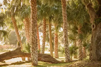 3841 SW 69th Avenue, Gainesville, FL 32608 - Photo 72