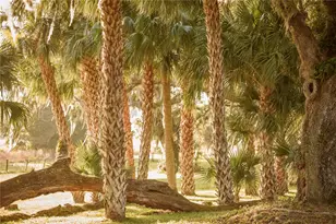 3841 SW 69th Ave, Gainesville, FL 32608 - Photo 72