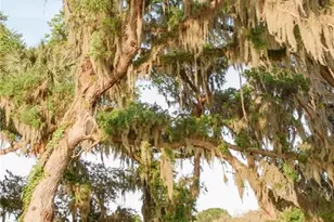 3841 SW 69th Ave, Gainesville, FL 32608 - Photo 78