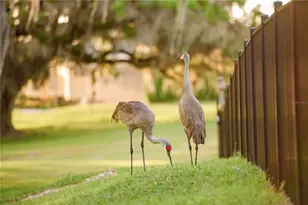 3841 SW 69th Ave, Gainesville, FL 32608 - Photo 86