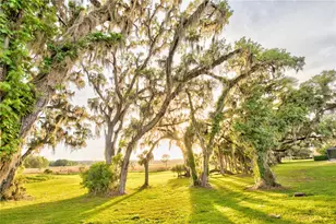 3841 SW 69th Ave, Gainesville, FL 32608 - Photo 80