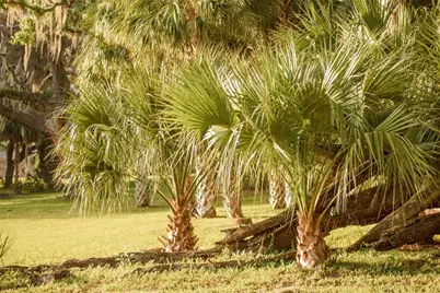 3841 SW 69th Avenue, Gainesville, FL 32608 - Photo 76