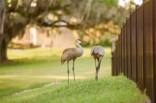 3841 SW 69th Ave, Gainesville, FL 32608 - Photo 84