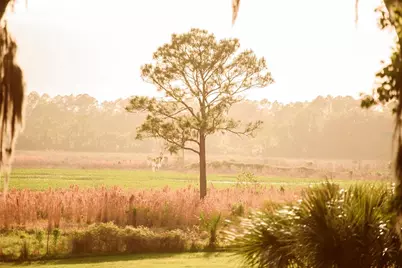 3841 SW 69th Avenue, Gainesville, FL 32608 - Photo 68