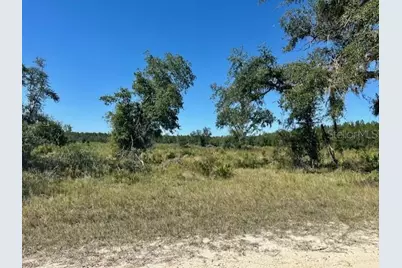 Ne 35th Ave, Bronson, FL 32621 - Photo 2