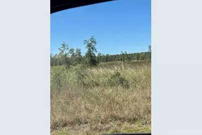 Ne 35th Ave, Bronson, FL 32621 - Photo 6