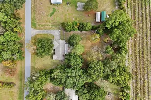 2860 NW 173rd St St, Trenton, FL 32693 - Photo 32