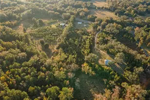 11423 SW Williston Rd, Micanopy, FL 32667 - Photo 32