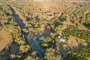 11423 SW Williston Rd, Micanopy, FL 32667 - Photo 34