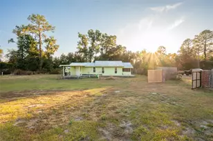 11423 SW Williston Rd, Micanopy, FL 32667 - Photo 2