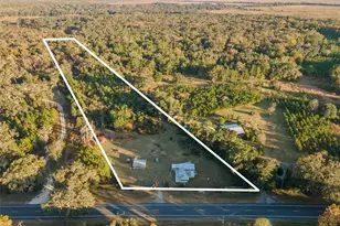 11423 SW Williston Rd, Micanopy, FL 32667 - Photo 28