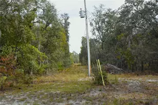 126 Terrell St, Interlachen, FL 32148 - Photo 52