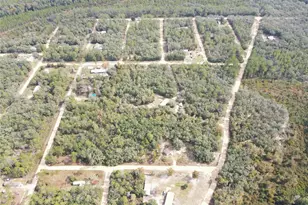 126 Terrell St, Interlachen, FL 32148 - Photo 58