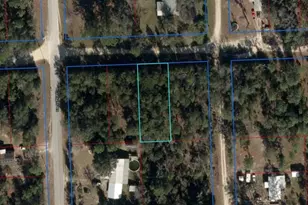 NE 67th St, Bronson, FL 32621 - Photo 1