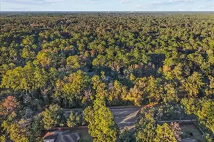 5609 NW 53rd Ct, Gainesville, FL 32653 - Photo 42