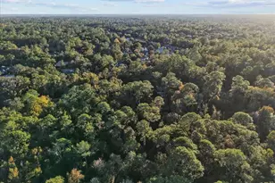 5609 NW 53rd Ct, Gainesville, FL 32653 - Photo 46