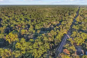 5609 NW 53rd Ct, Gainesville, FL 32653 - Photo 44