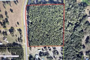 0000 SW High Field Terrace, Lake City, FL 32024 - Photo 1