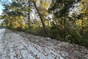 000 926th St, Old Town, FL 32680 - Photo 1