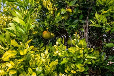 4939 SW 57th Drive, Gainesville, FL 32608 - Photo 10