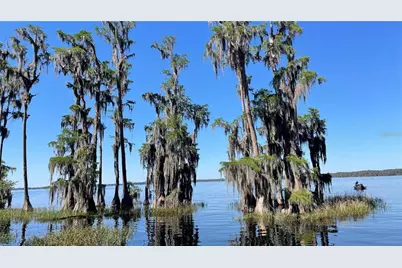 381 SE 5th Avenue, Melrose, FL 32666 - Photo 34