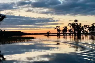 381 SE 5th Ave, Melrose, FL 32666 - Photo 32