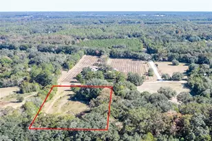 7122 N W 200th Terrace, Alachua, FL 32615 - Photo 46