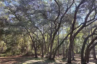 118 Lemon St, Melrose, FL 32666 - Photo 16