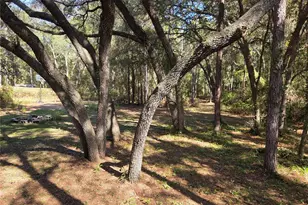 118 Lemon St, Melrose, FL 32666 - Photo 32