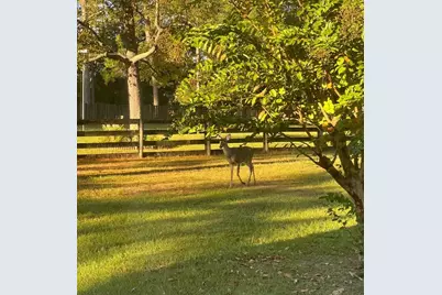 16910 NW 212th Terrace, High Springs, FL 32643 - Photo 52