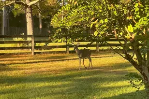 16910 NW 212th Terrace, High Springs, FL 32643 - Photo 52