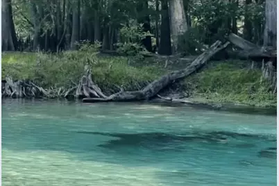 16910 NW 212th Terrace, High Springs, FL 32643 - Photo 50