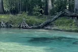 16910 NW 212th Terrace, High Springs, FL 32643 - Photo 50