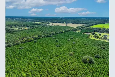 000 NW 78th Avenue, Newberry, FL 32669 - Photo 14